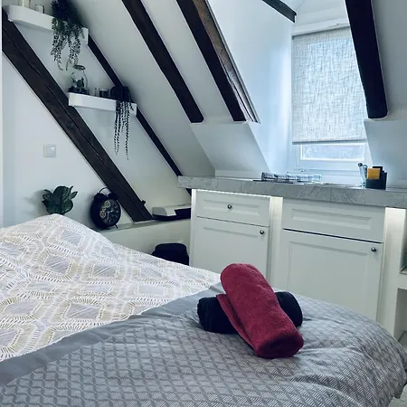 Cocon Au Coeur De Strazburg